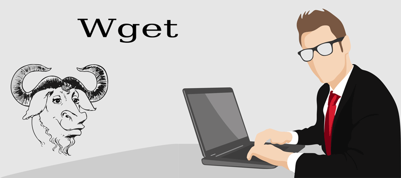 wget spider recursive